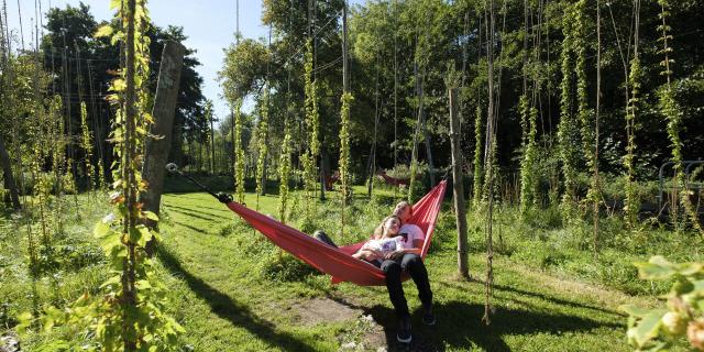 Amiens _ Festival Art Villes et Paysage © CRTC Hauts-de-France - Teddy Henin