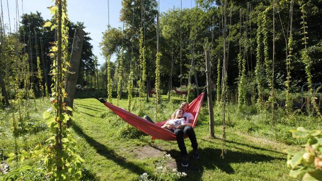 Amiens _ Festival Art Villes et Paysage © CRTC Hauts-de-France - Teddy Henin