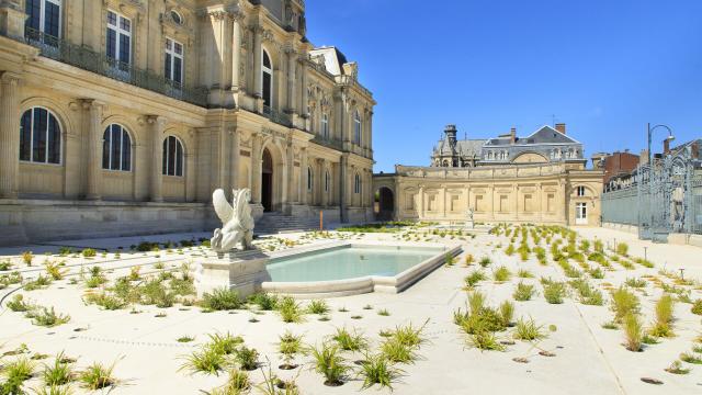 Museum der Picardie in Amiens, Copyright: CRTC Hauts-de-France - Anne-Sophie Flament