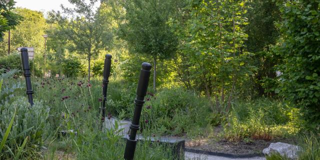 Detailansicht schottischer Garten in Arras, Nordfrankreich. Copyright: Art & Jardins Hauts de France - Yann Monel