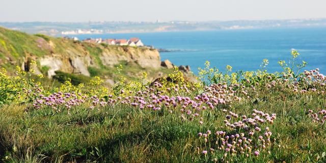 Northern France _ Audresselles © C.Cholez - Terre Des 2 Caps Tourisme