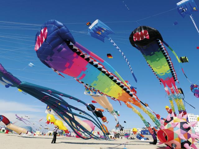 Berck-sur-Mer _ Cerfs-Volants © Mairie de Berck-Sur-Mer