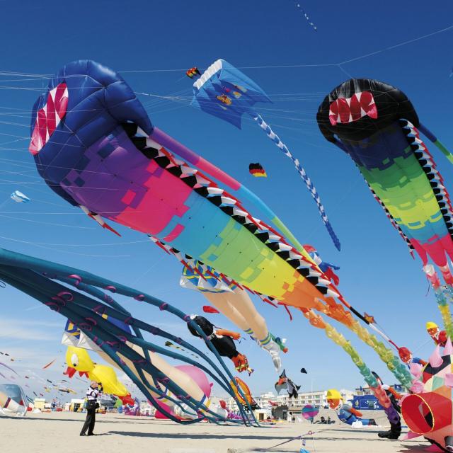 Berck-sur-Mer _ Cerfs-Volants © Mairie de Berck-Sur-Mer