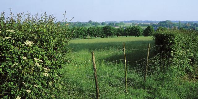 Avesnois, Paysage de bocage ©CRTC Hauts-de-France - Pascal Morès