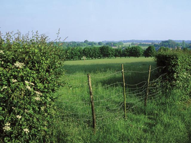 Heckenlandschaft im Avesnois, Nordfrankreich. Copyright: CRTC Hauts-de-France - Pascal Morès