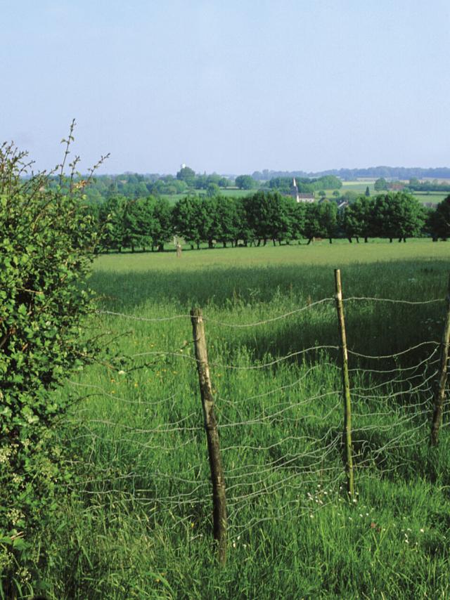 Avesnois, Paysage de bocage ©CRTC Hauts-de-France - Pascal Morès