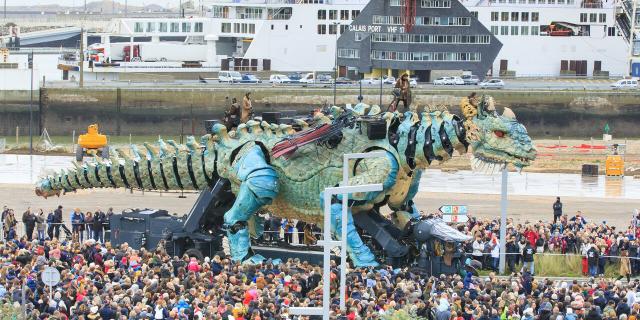 Calais_Le Dragon © CRTC Hauts-de-France - Anne-Sophie Flament