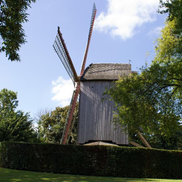 Marechal Foch-Garten mit Mühle in Cassel, Nordfrankreich. Copyright: Destination Coeur de Flandre