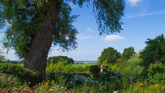 Cassel Jardins Du Mont Des Recollets (1)©destination Coeur De Flandre