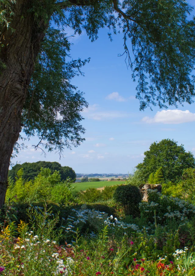 Cassel Jardins Du Mont Des Recollets (1)©destination Coeur De Flandre