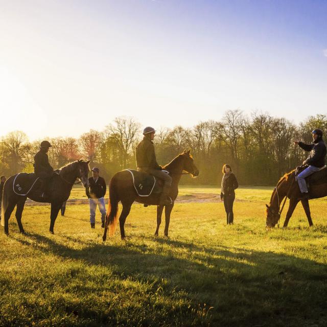 Chantilly_Chevaux de Course © CRTC Hauts-de-France - Vincent Colin