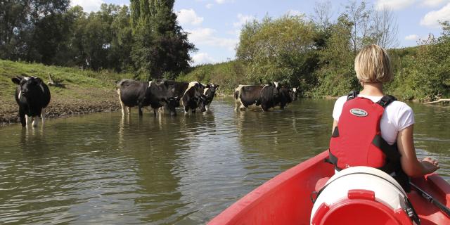 Northern France _ Autreppes _ Canoeing _ Stevenson Tour ©CRTC Hauts-de-France - Guillaume Fatras