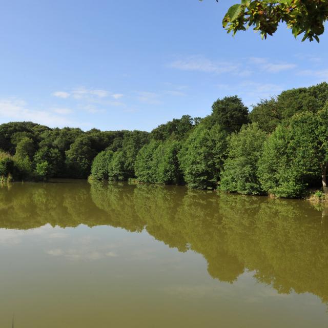 Northern France _ Clairmarais_ Lac d'Harchelles © Office du Tourisme et des Congrès du Pays de Saint Omer - Carl Peterloff