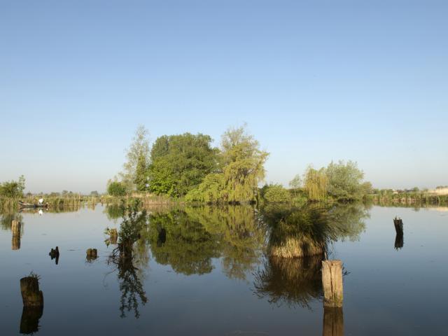 Clairmarais _ Réserve naturelle nationale des étangs du Romelaëre - © Office de Tourisme et des Congrès du Pays de Saint-Omer - Carl Peterloff