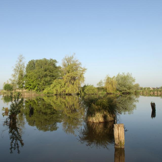 Northern France _ Clairmarais _ Romelaëre nature reserve - © Office de Tourisme et des Congrès du Pays de Saint-Omer - Carl Peterloff