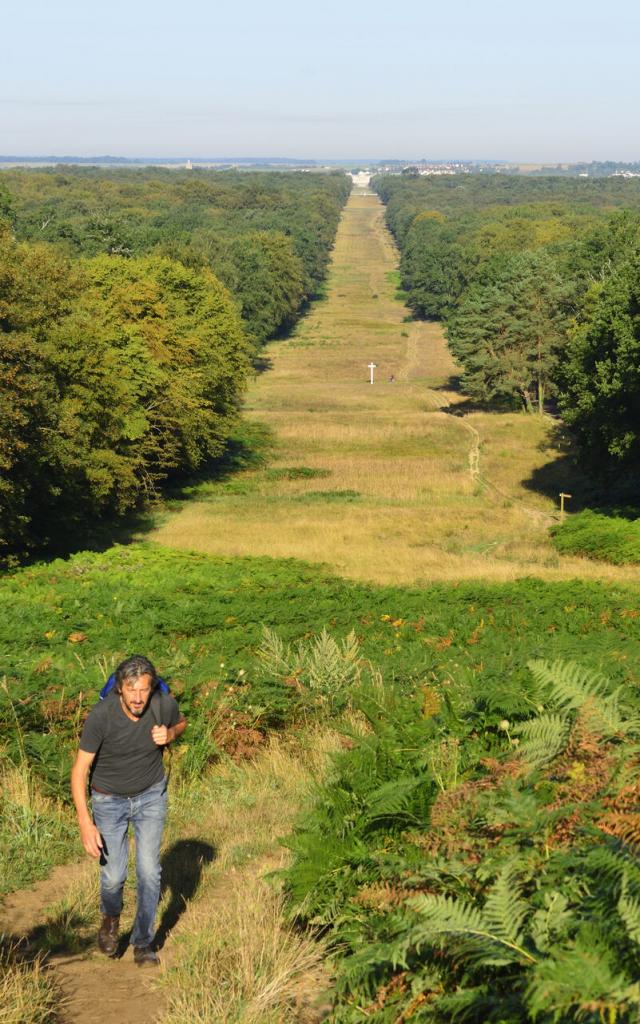 Compiègne, la forêt de Compiègne, Allée des Beaux Monts ©CRTC Hauts-de-France - Herve HUGHES