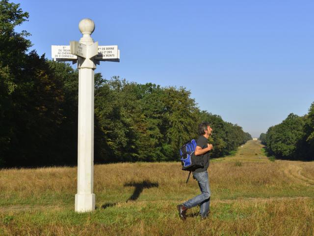 Compiègne _ La Forêt de Compiègne _ L'Allée des Beaux Monts - © CRTC Hauts-de-France - Hervé Hughes