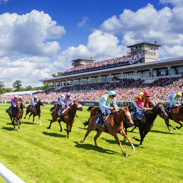 Northern France _ Chantilly _ Prix de Diane Longines _ Horse racing © Scoop Dyga_France Galop