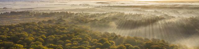 Northern France _ Crécy-en-Ponthieu _ Forest © CRTC Hauts-de-France - Stéphane Bouilland