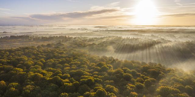 Crécy-en-Ponthieu _ La Forêt de Crécy - © CRTC Hauts-de-France - Stéphane Bouilland