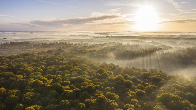 Crécy-en-Ponthieu _ La Forêt de Crécy - © CRTC Hauts-de-France - Stéphane Bouilland