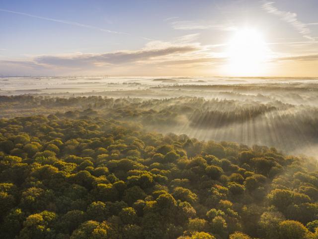 Crécy-en-Ponthieu _ La Forêt de Crécy - © CRTC Hauts-de-France - Stéphane Bouilland