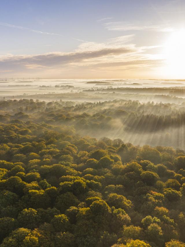 Crécy-en-Ponthieu _ La Forêt de Crécy - © CRTC Hauts-de-France - Stéphane Bouilland