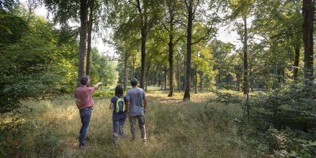 Crécy-en-Ponthieu _ Sortie Nature avec Naturopathe © CRTC Hauts-de-France - Nicolas Bryant