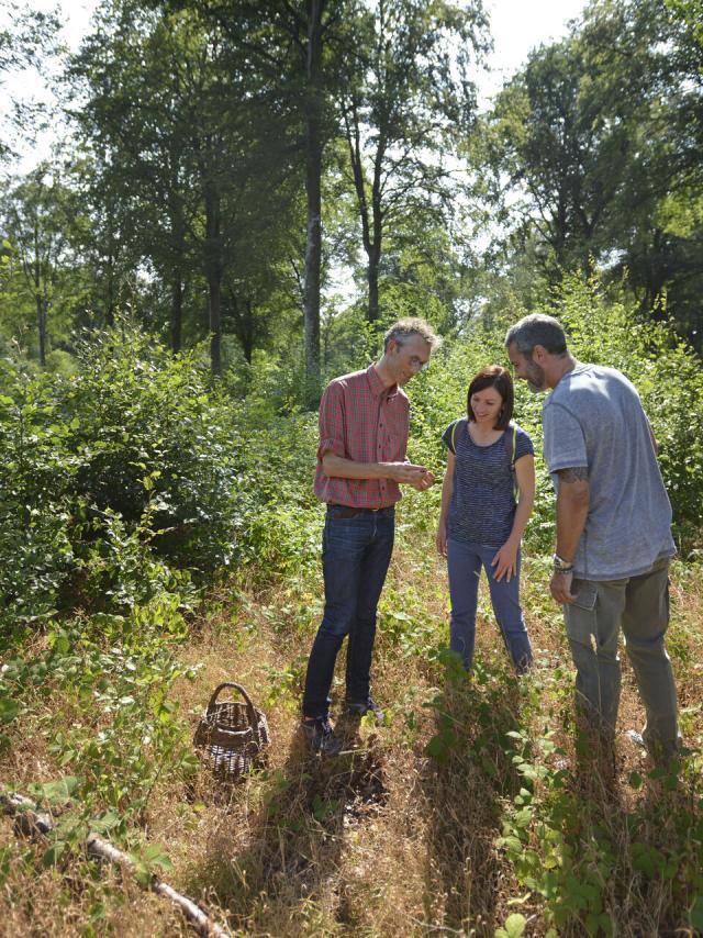 Crécy-en-Ponthieu _ Sortie Nature avec Naturopathe © CRTC Hauts-de-France - Nicolas Bryant