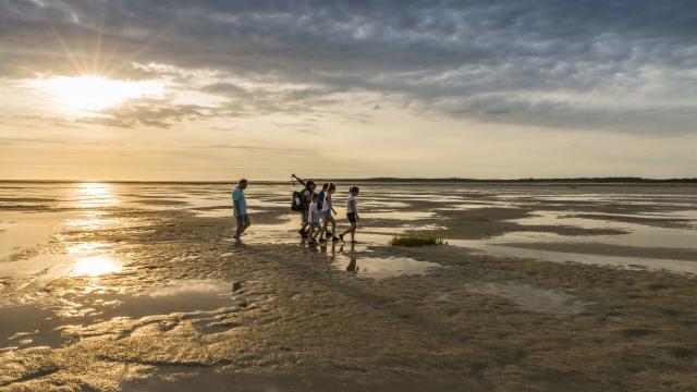 Plage de la Maye, Sortie nature de découverte de la Baie de Somme © CRTC Hauts-de-France - Stéphane Bouilland