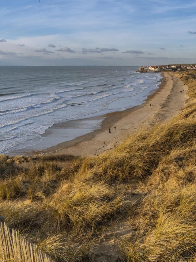 Les dunes de la Slack près d'Ambleteuse (Côte d'Opale, Grand Site des deux Caps) - Vue sur Ambleteuse  et son fort Vauban. Saison : Hiver - Lieu : Ambleteuse, Côte d'Opale, Site des deux caps, Pas-de-Calais, Hauts-de-France, France - The dunes of the Slack near Ambleteuse (Opal Coast, Great Site of the two Caps) - View of Ambleteuse and its Vauban fort. Season: Winter - Place: Ambleteuse, Opal Coast, Site of the two caps, Pas-de-Calais, Hauts-de-France, France