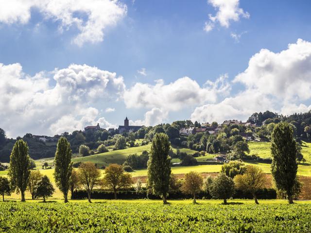 Paysage de Flandre ©CRTC Hauts-de-France - Eric GATINEAU