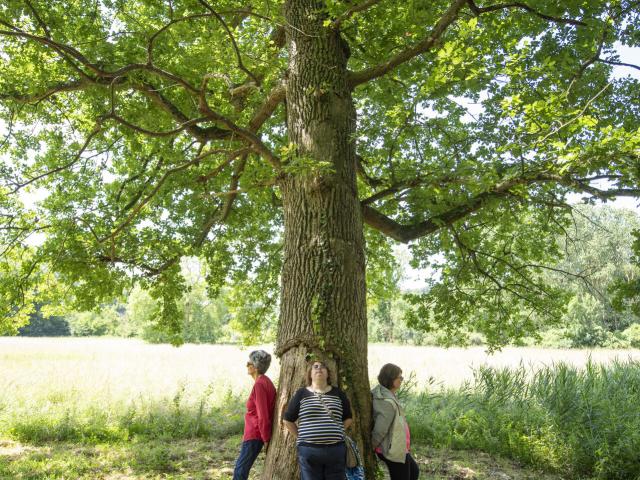 Compiègne _ Festival des Forêts © CRTC Hauts-de-France - Benjamin Teissedre