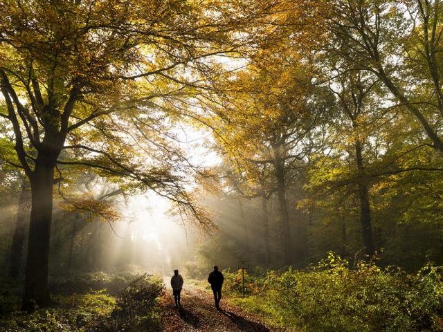 Crécy-en-Ponthieu, balade en forêt credit CRTC Hauts-de-France - Stéphane BOUILLAND