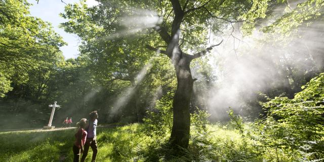 Compiègne _ Forêt de Compiègne © CRTC Hauts-de-France – Comdesimages.com