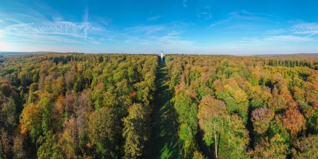 Northern France _ Villers-Cotterêts _ Retz Forest © Office de Tourisme Retz en Valois Airndrone