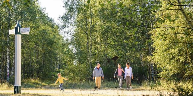 Nordfranckreich, Forêt D'ermenonville