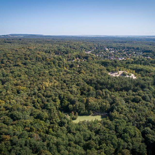 Verneuil-en-Halatte_Forêt d'Halatte © CRTC Hauts-de-France - Bruno Beucher