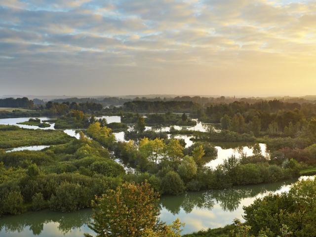 Frise, Haute-Somme, Randonnée dans les étangs de la Vallée de la Haute Somme ©CRTC Hauts-de-France- Guillaume Crochez