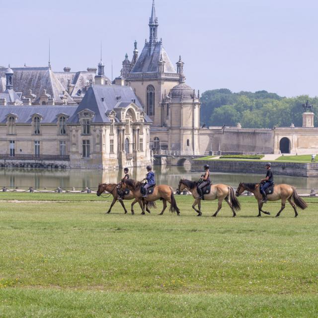 Chantilly _ Henson Chantilly © CRTC Hauts-de-France - Nicolas Bryant