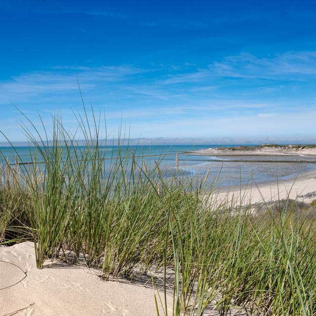 La Baie d'Authie © Ville de Berck-sur-Mer