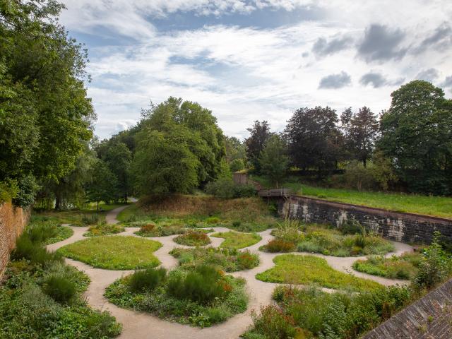 Grüne Garteninseln des neuseeländischen Gartens des Friedens in Le Quesnoy, Nordfrankreich. Copyright: Art & Jardins Hauts de France - Yann Monel