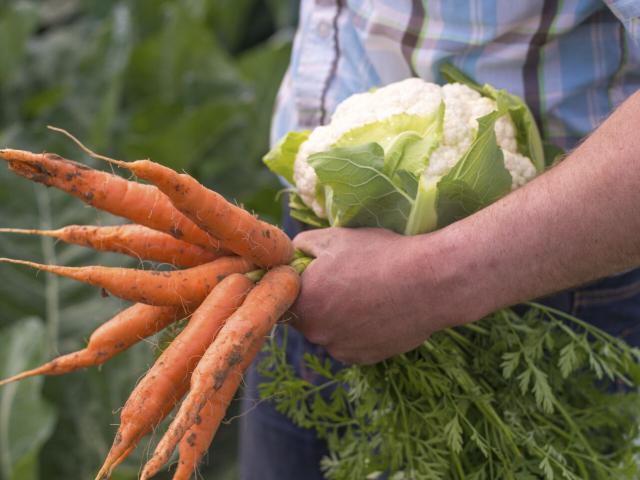 Légumes Bio © CRTC Hauts-de-France - Nicolas Bryant