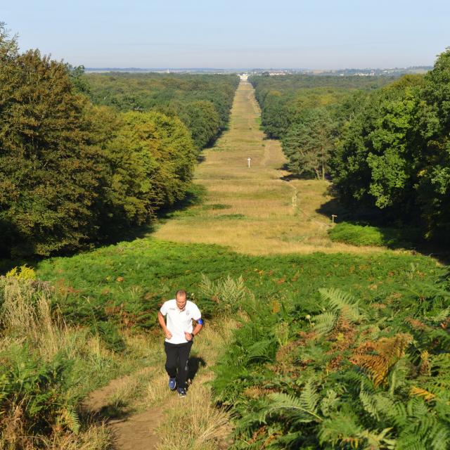 Compiègne _ La Forêt de Compiègne _ Allée des Beaux Monts © CRTC Hauts-de-France - Herve Hughes