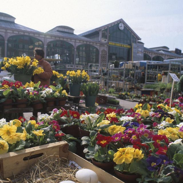 Lille _ Marché de Wazemmes © Office de Tourisme de Lille