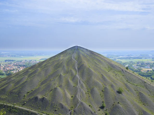 Loos-en-Gohelle, Les terrils