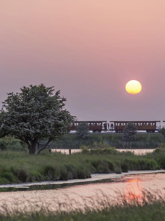 Le Crotoy_Saint-Valéry-sur-Somme_Traversée de la baie de Somme en petit train à vapeur © CRTC Haut-de-France - Nicolas Bryant