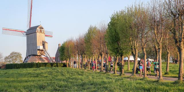 Monts de Flandres, Nord Trail Monts de Flandres ©Cyrille Quintard