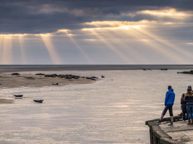 Wanderer beobachtet Robben in Berck-sur-Mer in der Bucht von Authie, Copyright: CRTC Hauts-de-France - Stéphane Bouilland