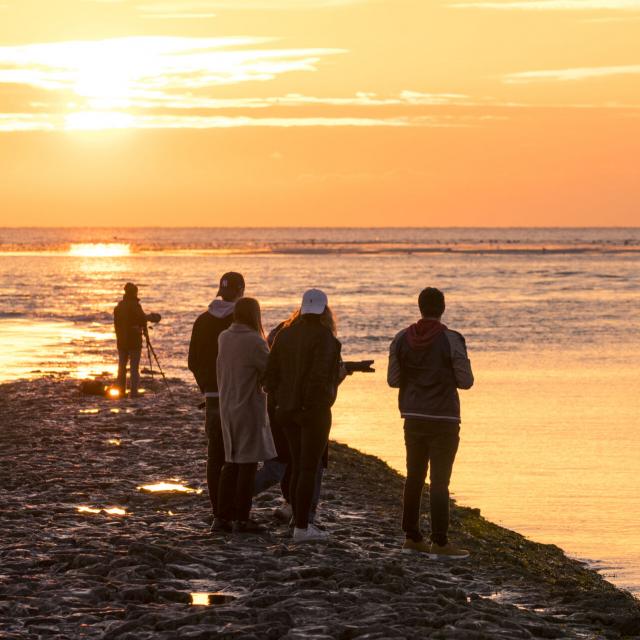 Robbenbeobachtung in der Bucht von Authie bei Sonnenuntergang, Copyright: CRTC Hauts-de-France - Stéphane Bouilland